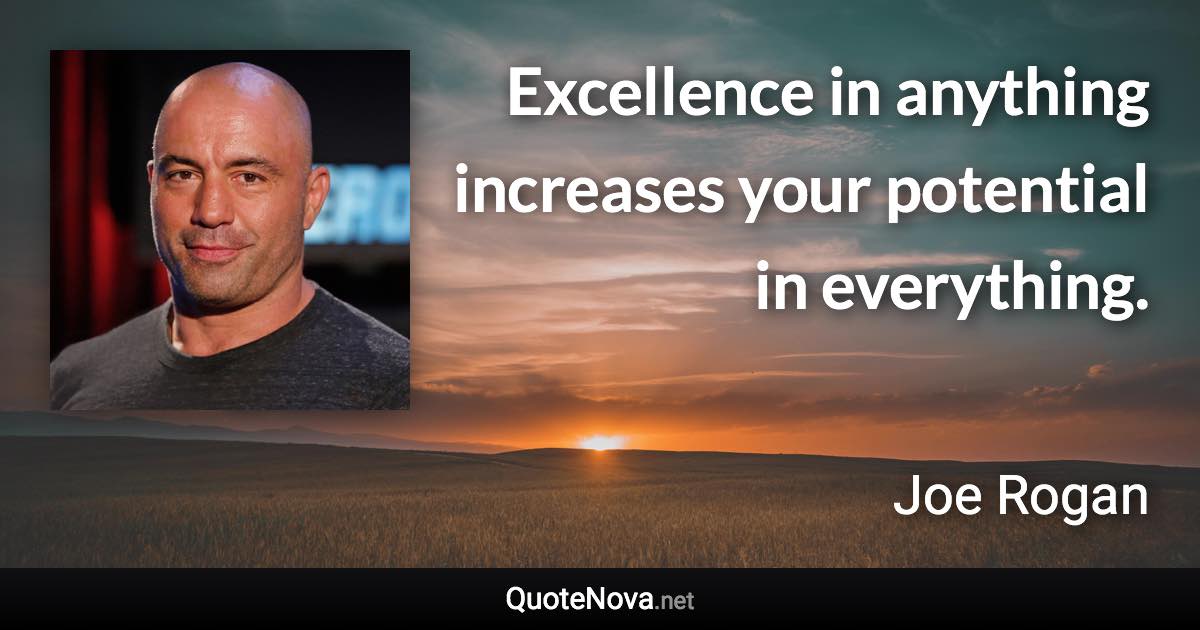Excellence in anything increases your potential in everything. - Joe Rogan quote