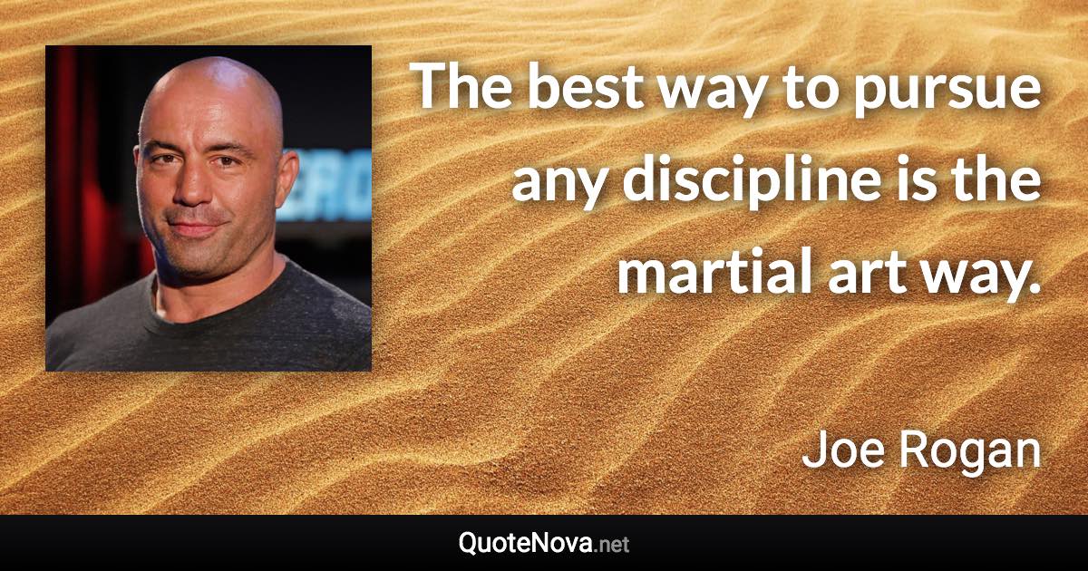 The best way to pursue any discipline is the martial art way. - Joe Rogan quote
