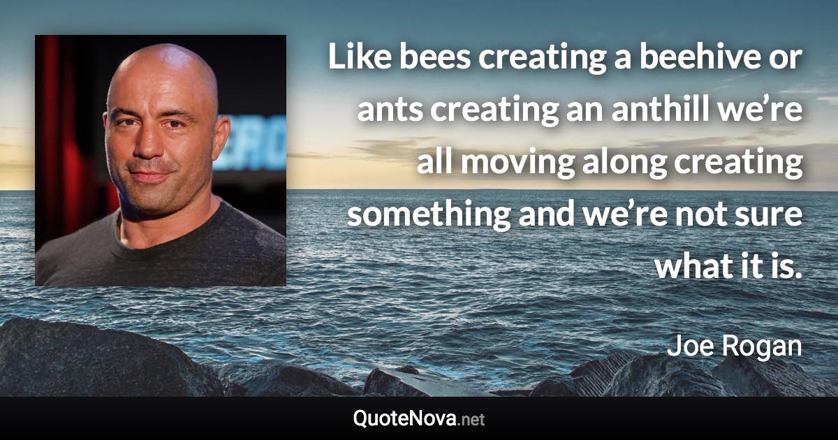 Like bees creating a beehive or ants creating an anthill we’re all moving along creating something and we’re not sure what it is. - Joe Rogan quote