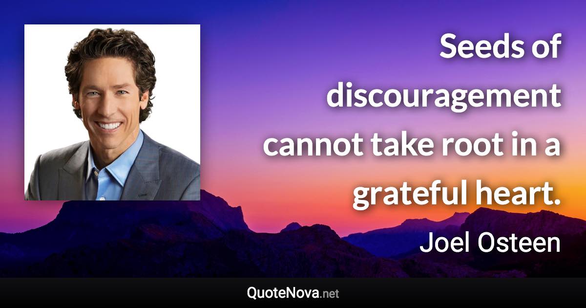 Seeds of discouragement cannot take root in a grateful heart. - Joel Osteen quote