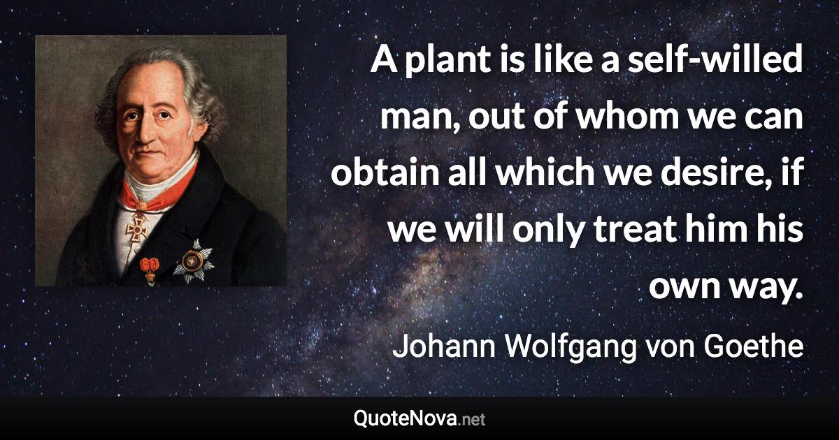 A plant is like a self-willed man, out of whom we can obtain all which we desire, if we will only treat him his own way. - Johann Wolfgang von Goethe quote