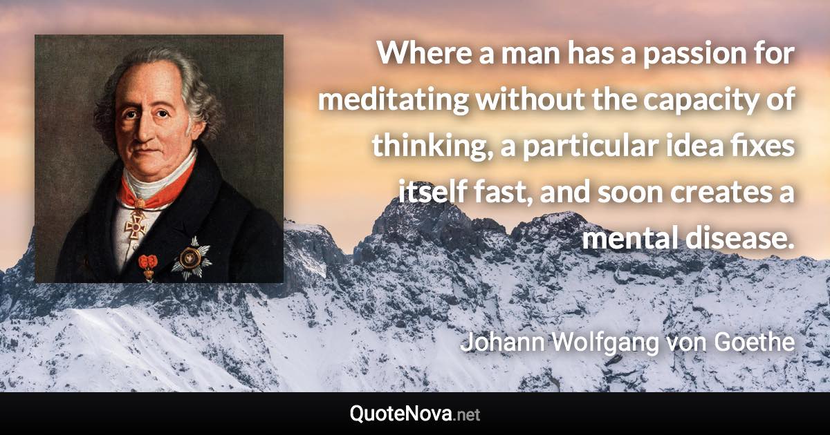 Where a man has a passion for meditating without the capacity of thinking, a particular idea fixes itself fast, and soon creates a mental disease. - Johann Wolfgang von Goethe quote