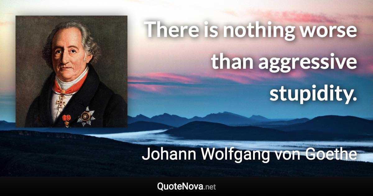 There is nothing worse than aggressive stupidity. - Johann Wolfgang von Goethe quote