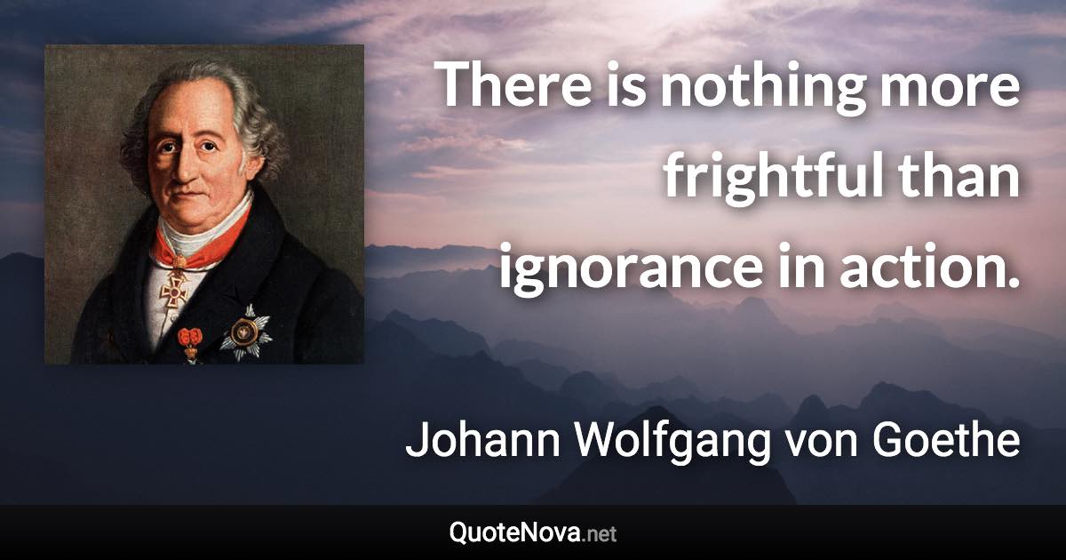There is nothing more frightful than ignorance in action. - Johann Wolfgang von Goethe quote