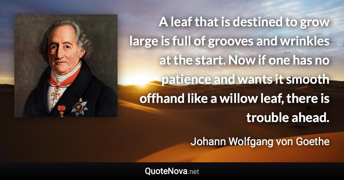 A leaf that is destined to grow large is full of grooves and wrinkles at the start. Now if one has no patience and wants it smooth offhand like a willow leaf, there is trouble ahead. - Johann Wolfgang von Goethe quote