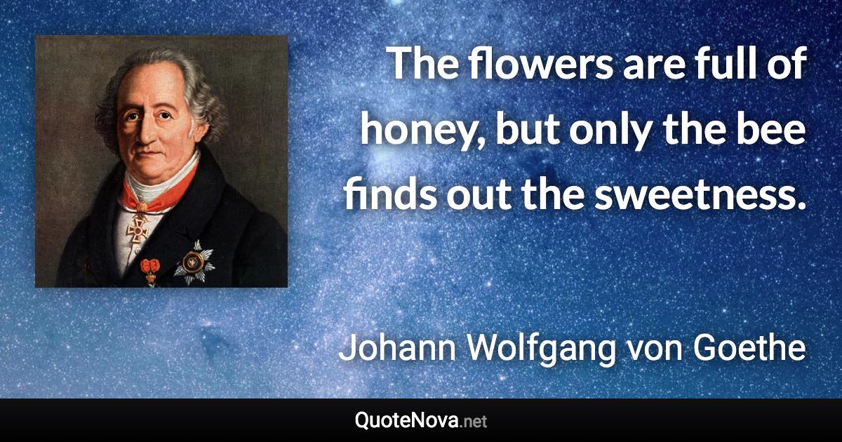 The flowers are full of honey, but only the bee finds out the sweetness. - Johann Wolfgang von Goethe quote