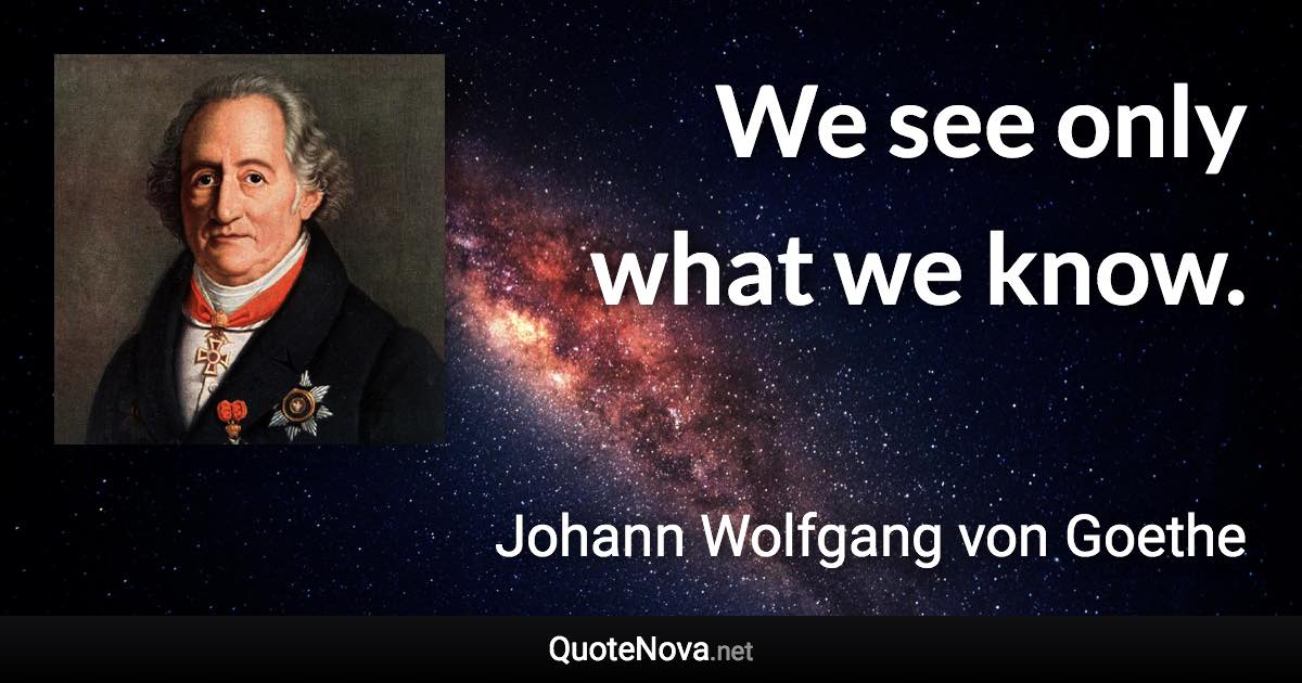 We see only what we know. - Johann Wolfgang von Goethe quote