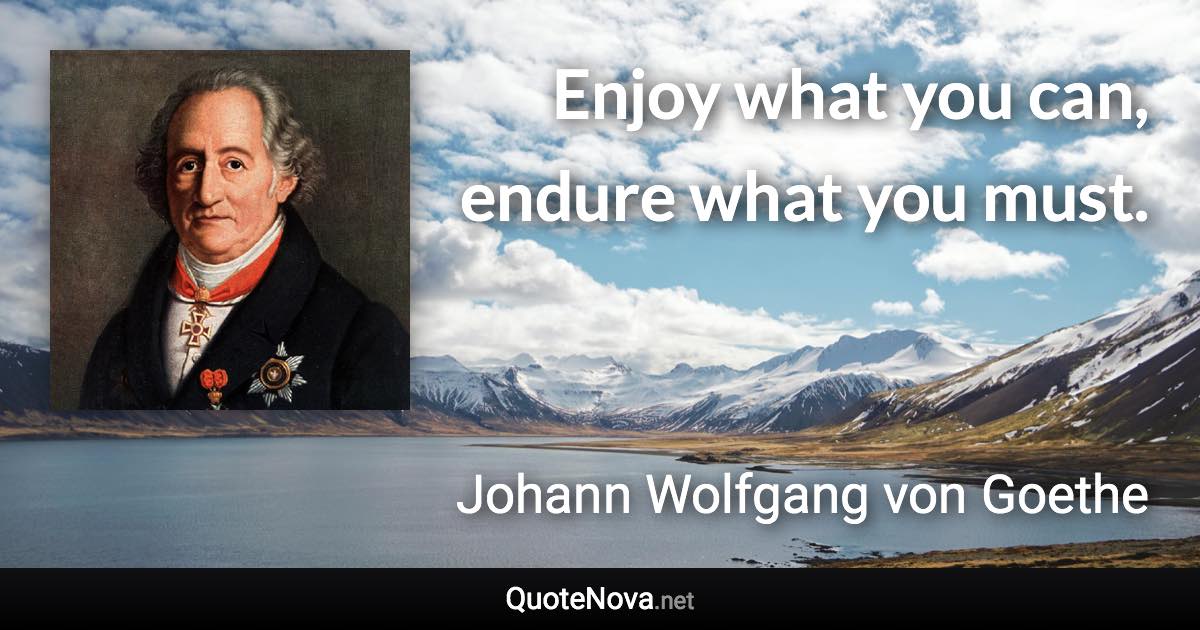 Enjoy what you can, endure what you must. - Johann Wolfgang von Goethe quote