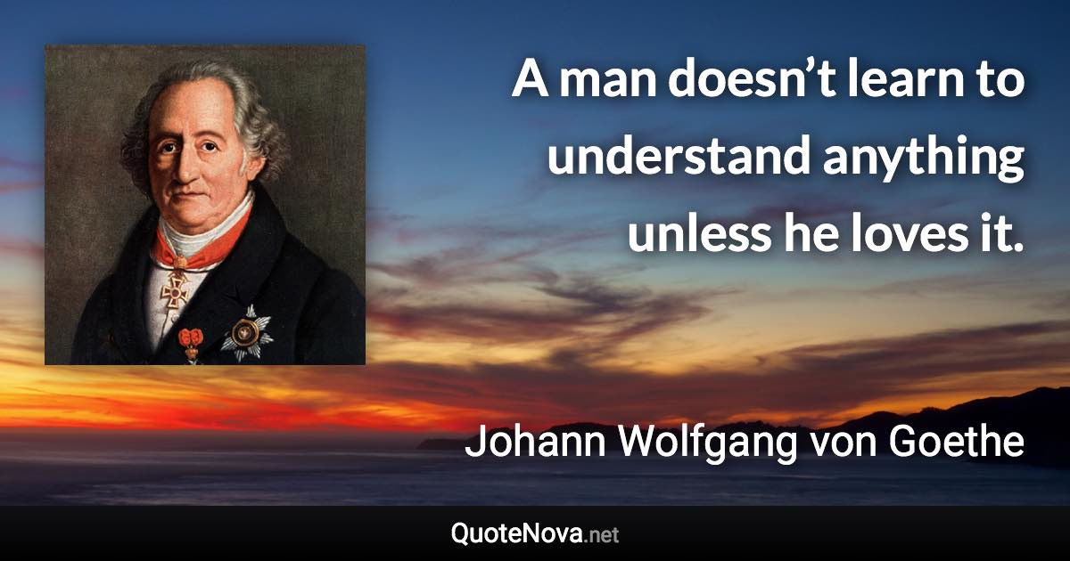 A man doesn’t learn to understand anything unless he loves it. - Johann Wolfgang von Goethe quote