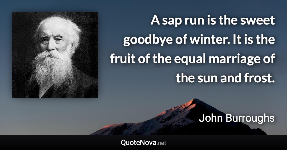 A sap run is the sweet goodbye of winter. It is the fruit of the equal marriage of the sun and frost. - John Burroughs quote
