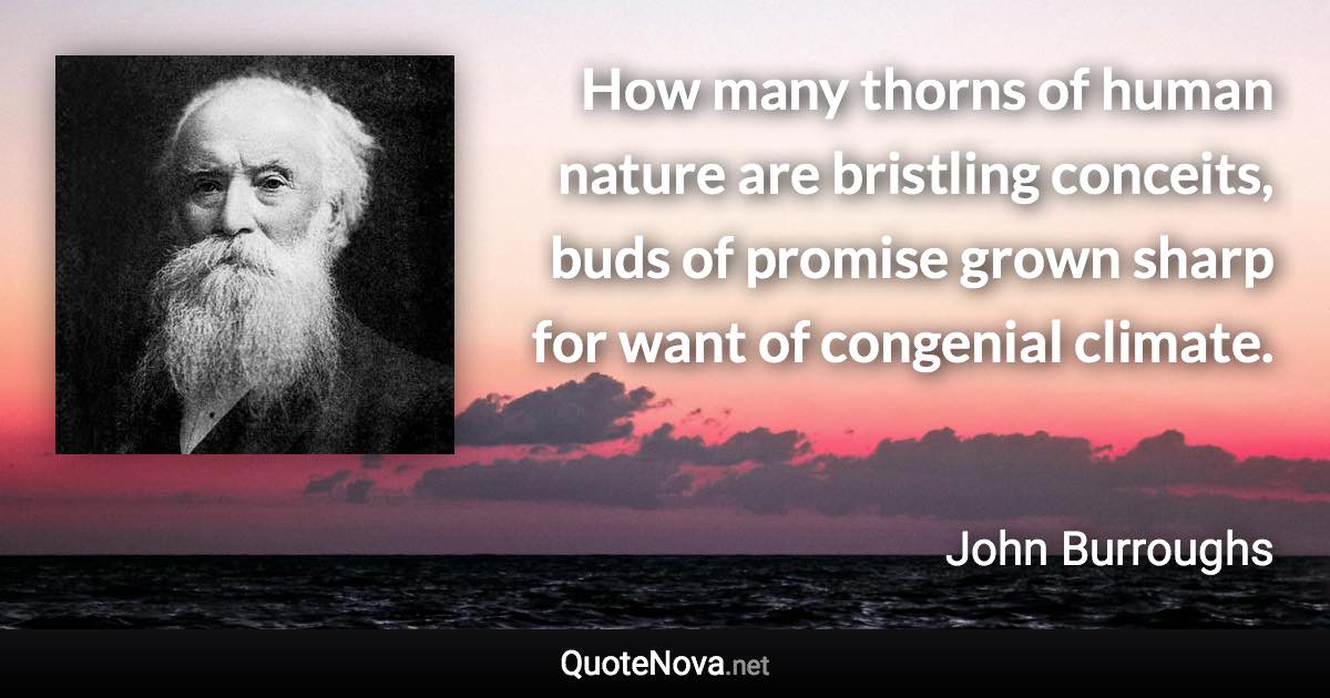 How many thorns of human nature are bristling conceits, buds of promise grown sharp for want of congenial climate. - John Burroughs quote