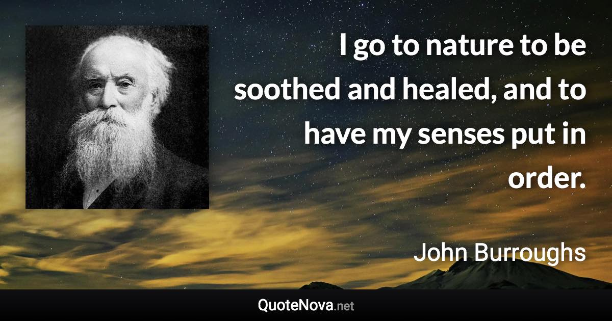 I go to nature to be soothed and healed, and to have my senses put in order. - John Burroughs quote