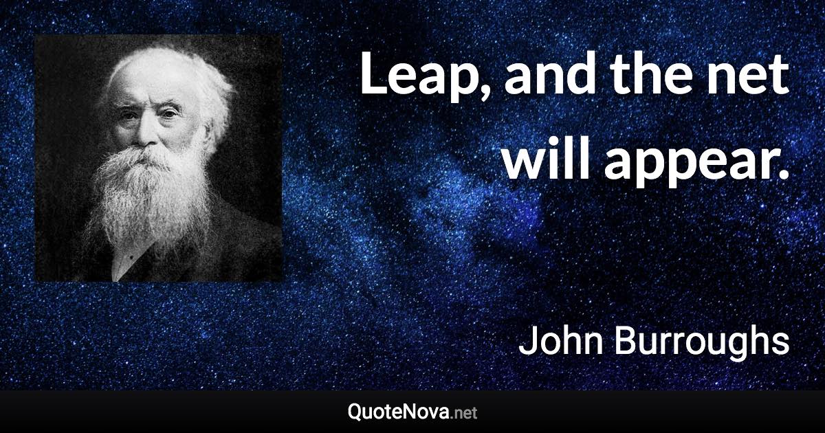 Leap, and the net will appear. - John Burroughs quote