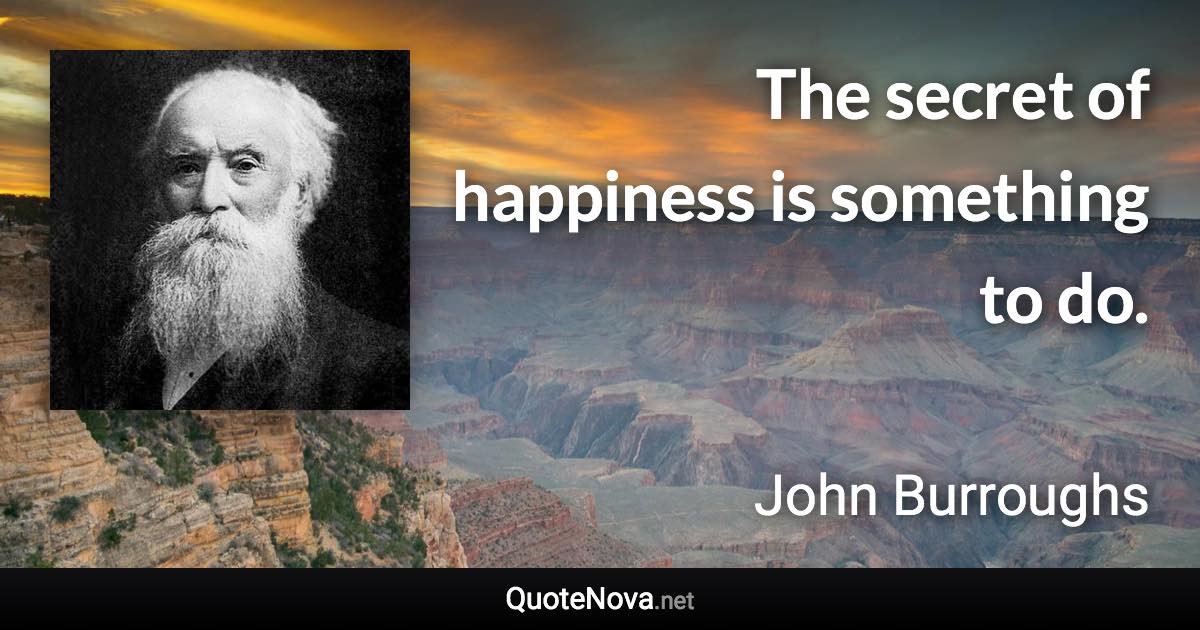 The secret of happiness is something to do. - John Burroughs quote