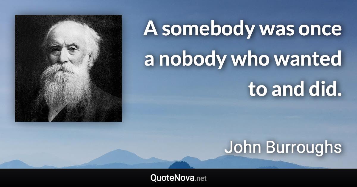 A somebody was once a nobody who wanted to and did. - John Burroughs quote