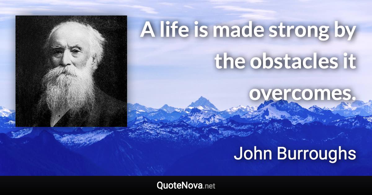 A life is made strong by the obstacles it overcomes. - John Burroughs quote