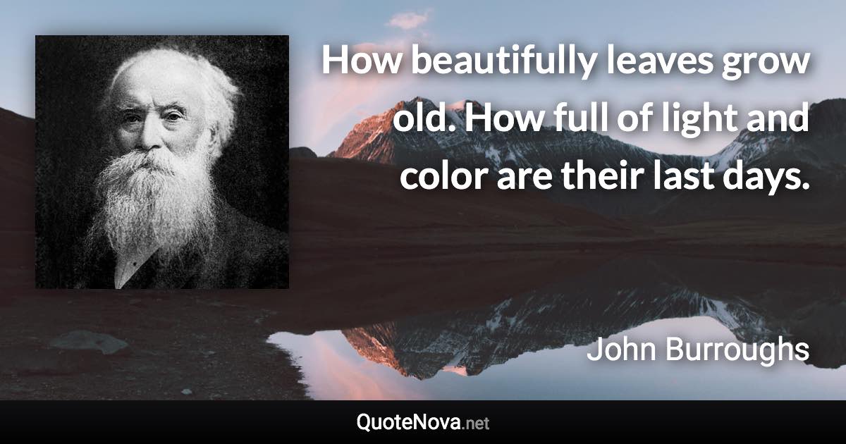 How beautifully leaves grow old. How full of light and color are their last days. - John Burroughs quote