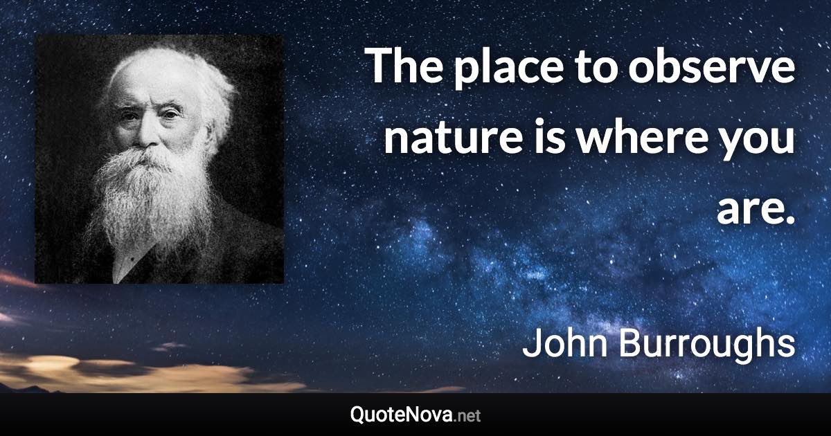 The place to observe nature is where you are. - John Burroughs quote