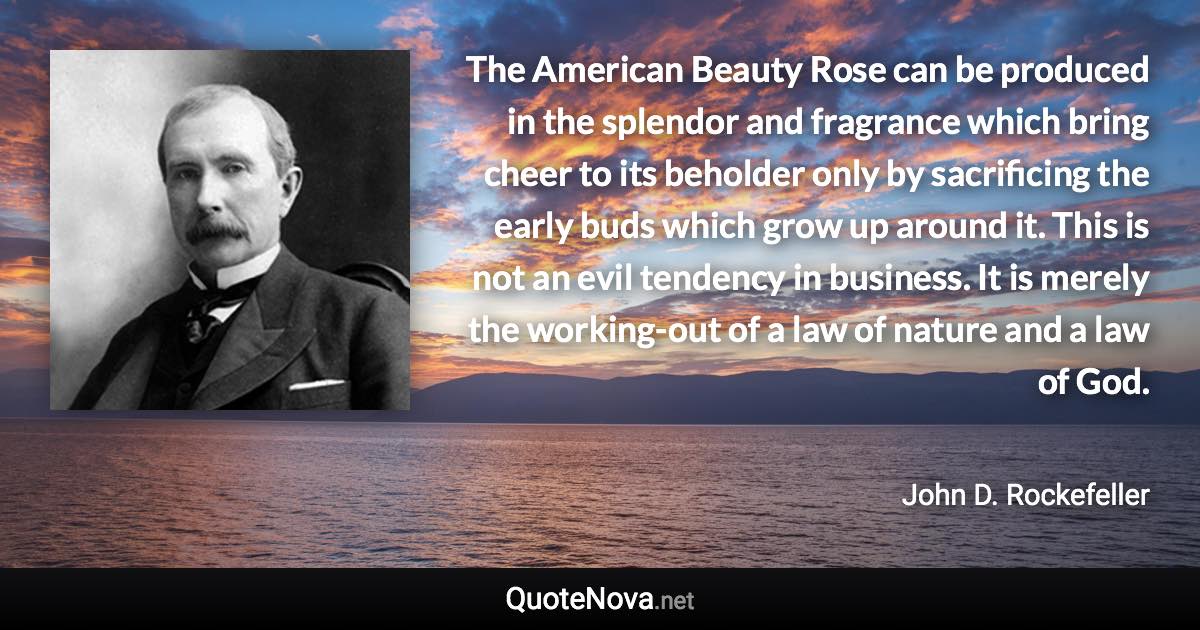 The American Beauty Rose can be produced in the splendor and fragrance which bring cheer to its beholder only by sacrificing the early buds which grow up around it. This is not an evil tendency in business. It is merely the working-out of a law of nature and a law of God. - John D. Rockefeller quote