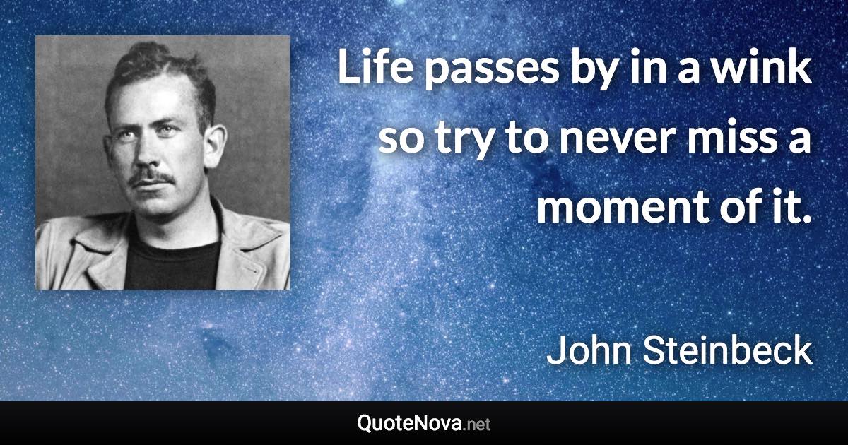 Life passes by in a wink so try to never miss a moment of it. - John Steinbeck quote