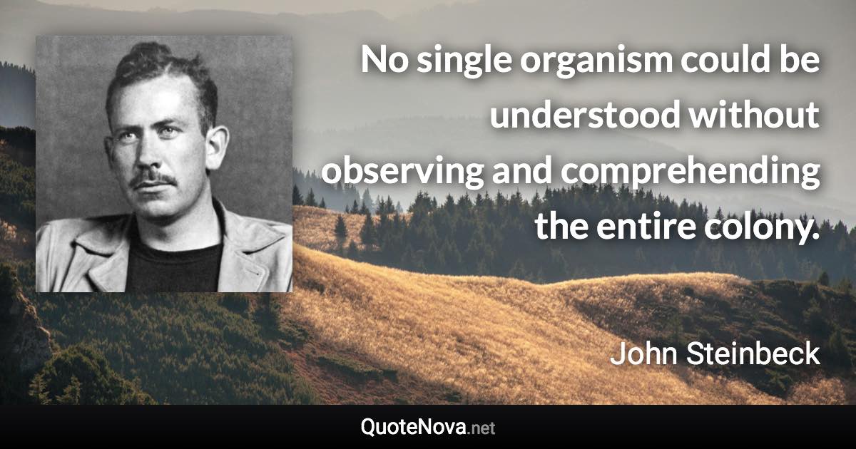 No single organism could be understood without observing and comprehending the entire colony. - John Steinbeck quote