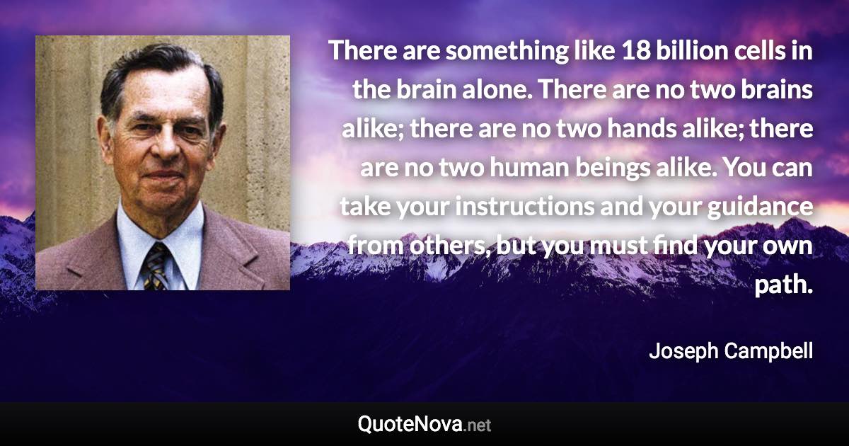 There are something like 18 billion cells in the brain alone. There are no two brains alike; there are no two hands alike; there are no two human beings alike. You can take your instructions and your guidance from others, but you must find your own path. - Joseph Campbell quote