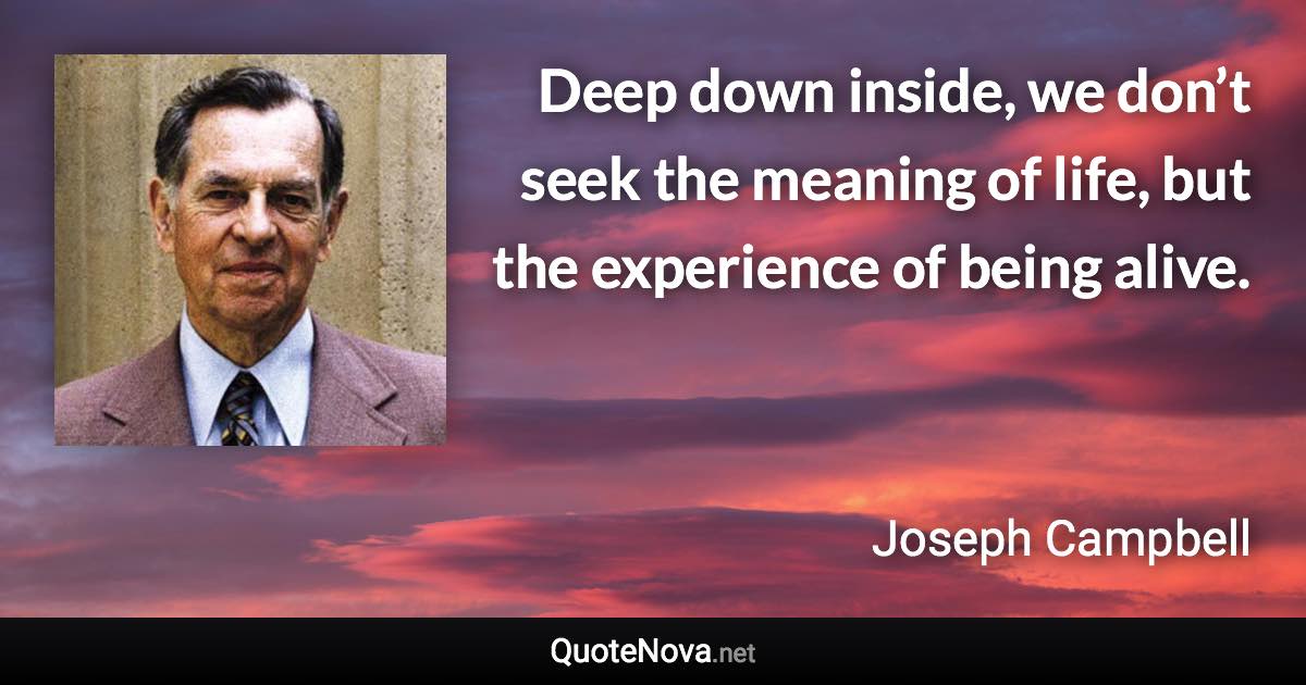 Deep down inside, we don’t seek the meaning of life, but the experience of being alive. - Joseph Campbell quote