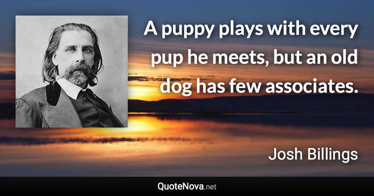 A puppy plays with every pup he meets, but an old dog has few associates. - Josh Billings quote