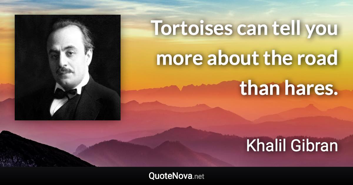 Tortoises can tell you more about the road than hares. - Khalil Gibran quote