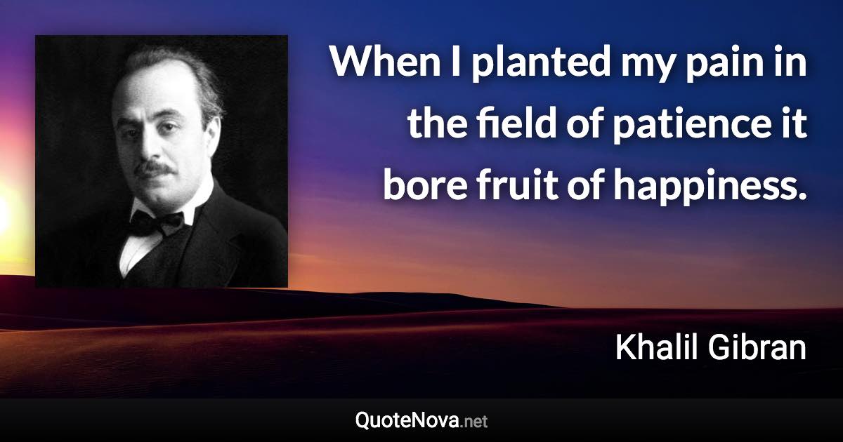 When I planted my pain in the field of patience it bore fruit of happiness. - Khalil Gibran quote