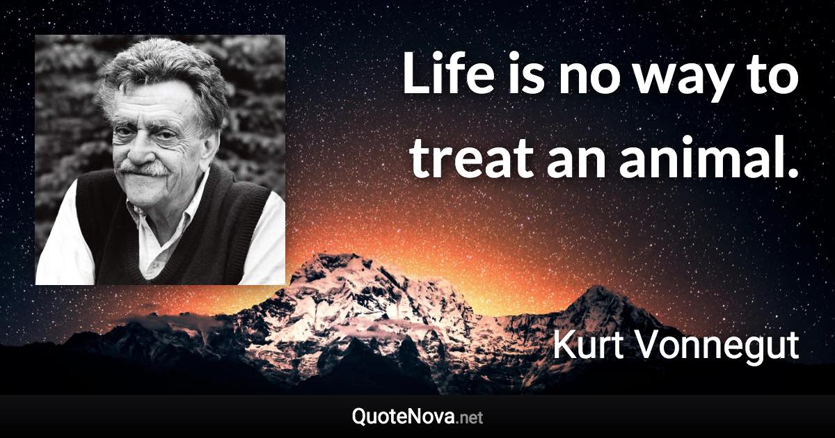 Life is no way to treat an animal. - Kurt Vonnegut quote