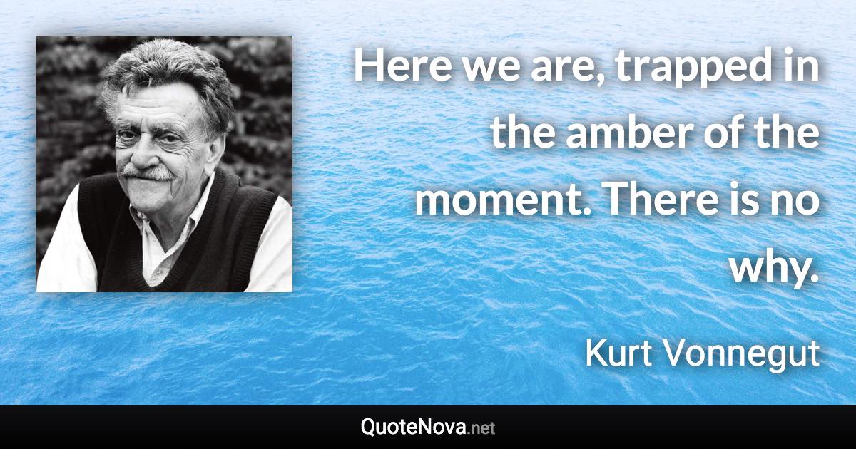 Here we are, trapped in the amber of the moment. There is no why. - Kurt Vonnegut quote