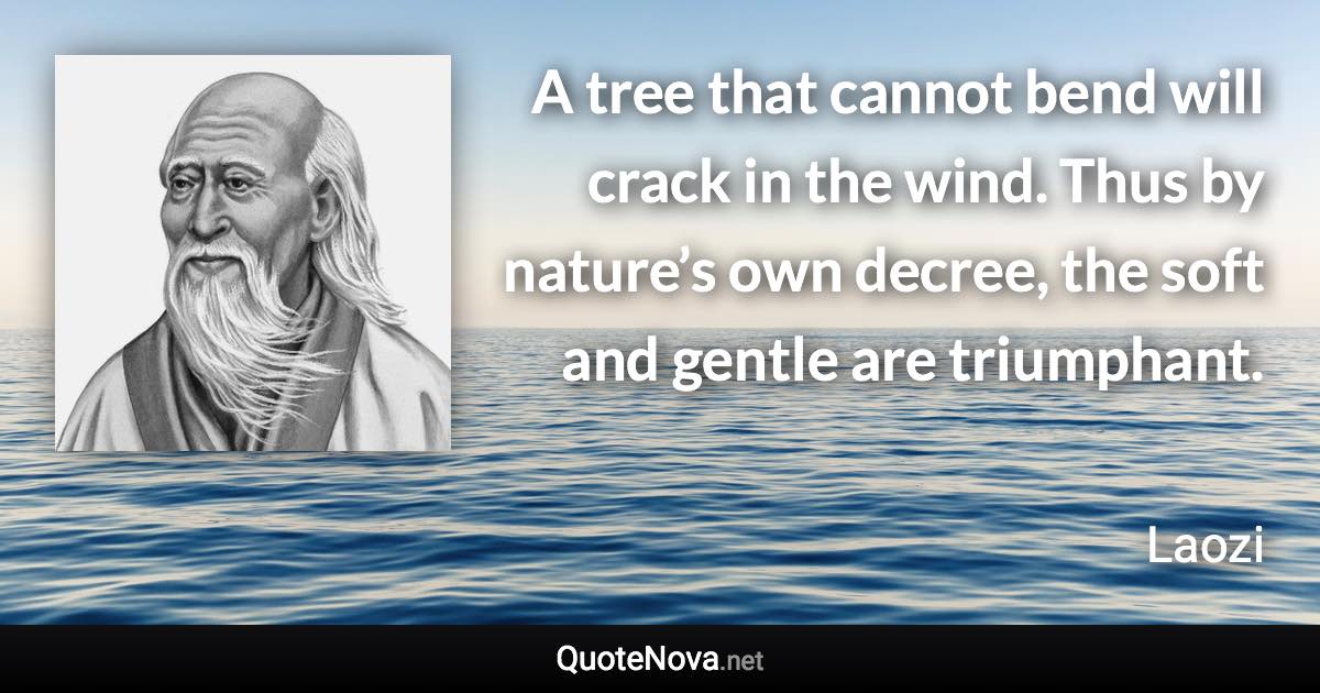 A tree that cannot bend will crack in the wind. Thus by nature’s own decree, the soft and gentle are triumphant. - Laozi quote