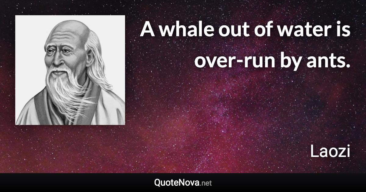 A whale out of water is over-run by ants. - Laozi quote