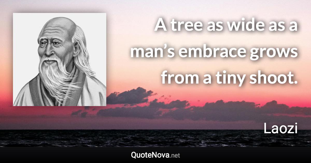 A tree as wide as a man’s embrace grows from a tiny shoot. - Laozi quote