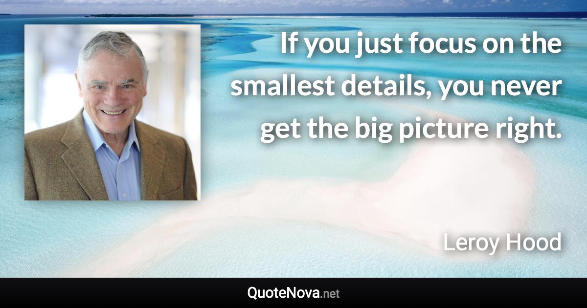 If you just focus on the smallest details, you never get the big picture right. - Leroy Hood quote