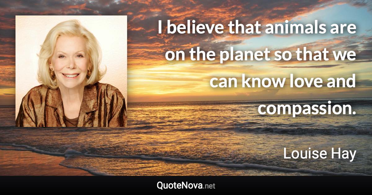 I believe that animals are on the planet so that we can know love and compassion. - Louise Hay quote