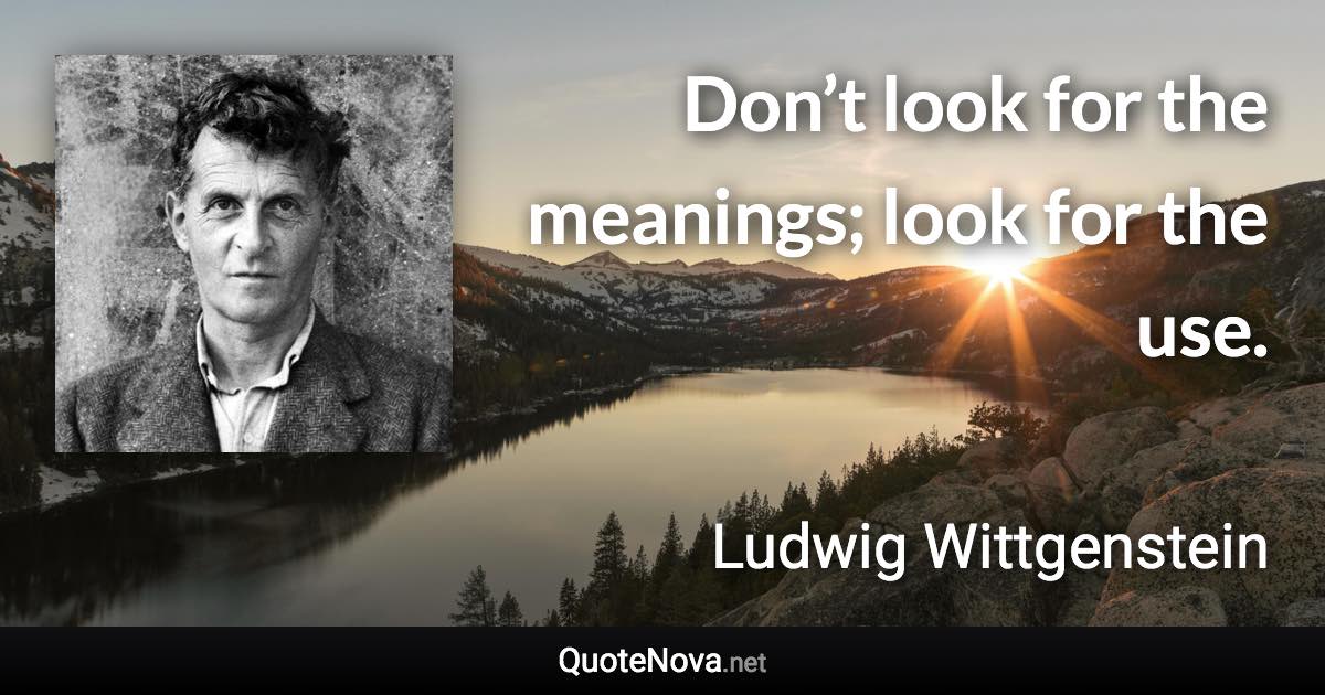 Don’t look for the meanings; look for the use. - Ludwig Wittgenstein quote