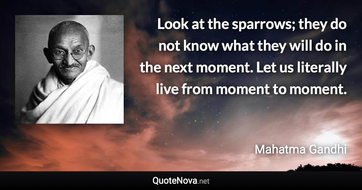 Look at the sparrows; they do not know what they will do in the next moment. Let us literally live from moment to moment. - Mahatma Gandhi quote