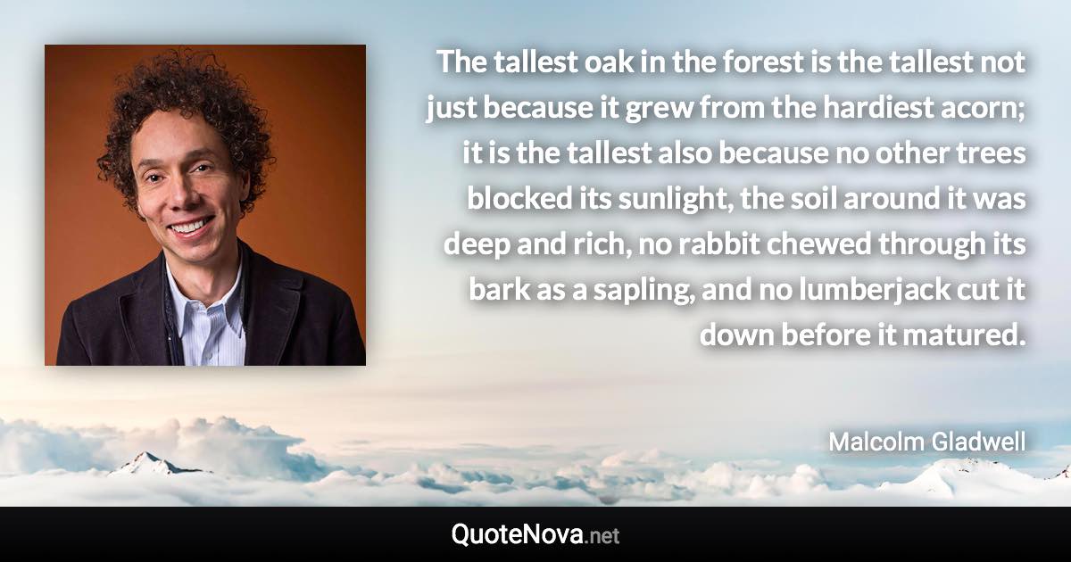 The tallest oak in the forest is the tallest not just because it grew from the hardiest acorn; it is the tallest also because no other trees blocked its sunlight, the soil around it was deep and rich, no rabbit chewed through its bark as a sapling, and no lumberjack cut it down before it matured. - Malcolm Gladwell quote