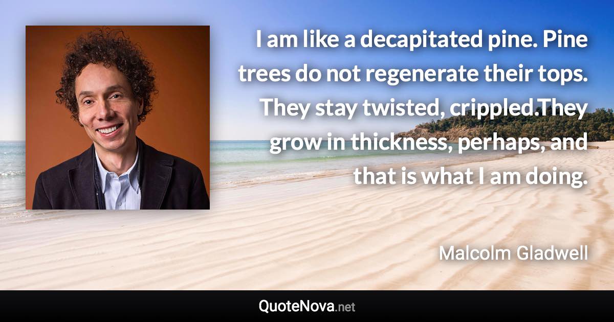 I am like a decapitated pine. Pine trees do not regenerate their tops. They stay twisted, crippled.They grow in thickness, perhaps, and that is what I am doing. - Malcolm Gladwell quote