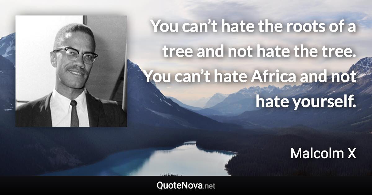 You can’t hate the roots of a tree and not hate the tree. You can’t hate Africa and not hate yourself. - Malcolm X quote