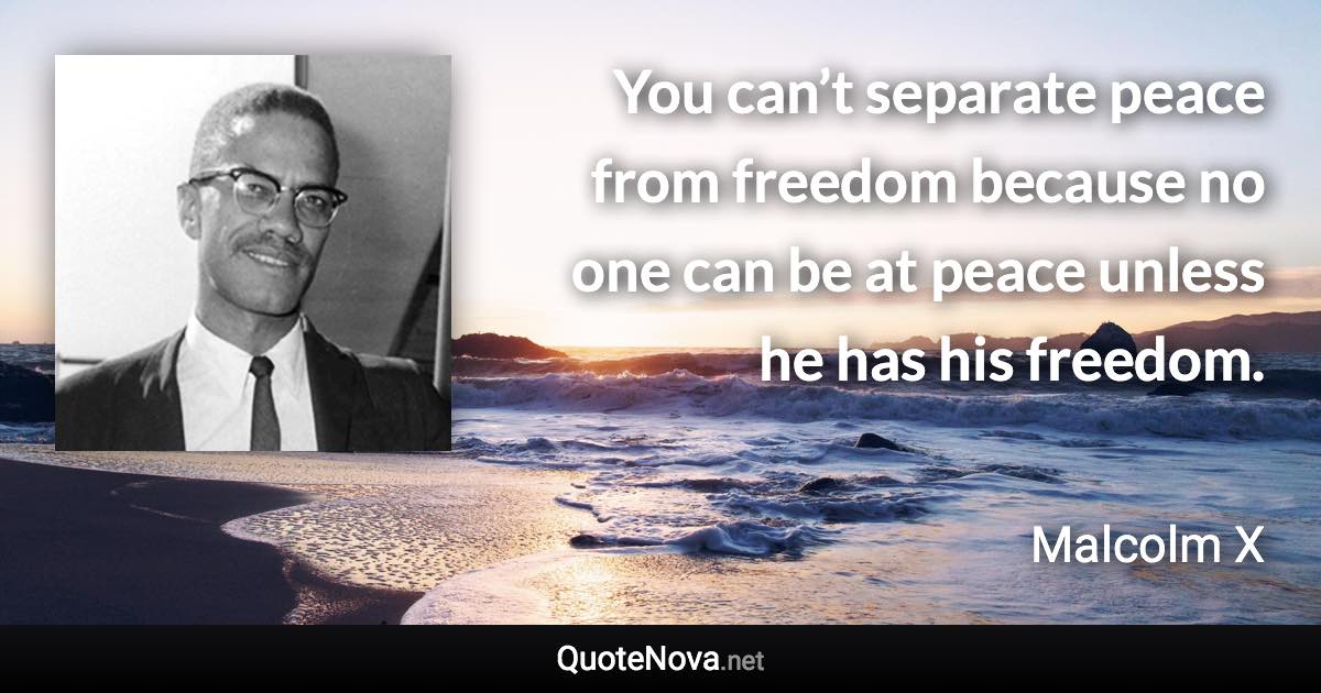 You can’t separate peace from freedom because no one can be at peace unless he has his freedom. - Malcolm X quote