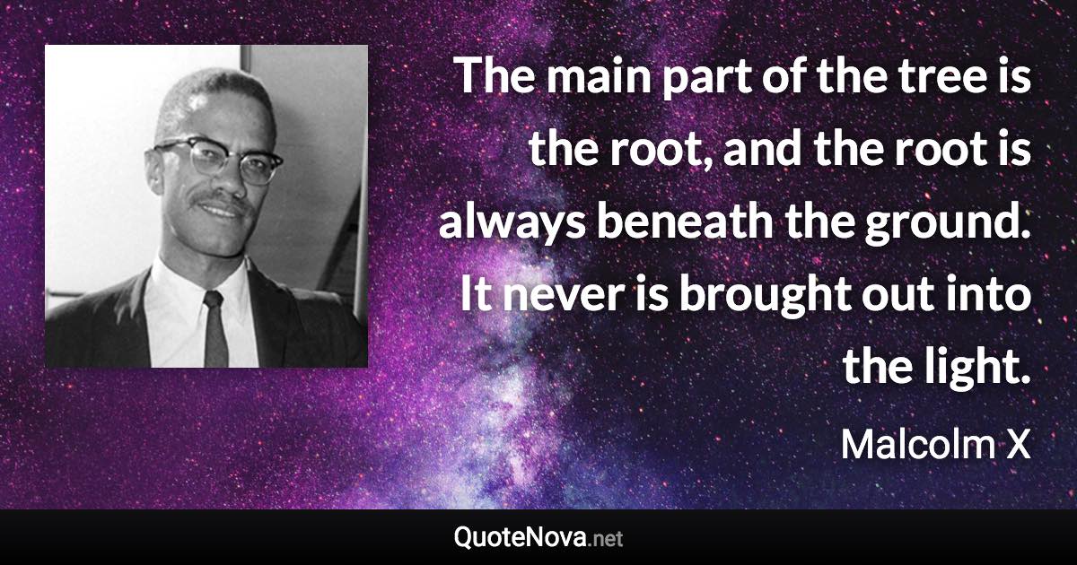 The main part of the tree is the root, and the root is always beneath the ground. It never is brought out into the light. - Malcolm X quote