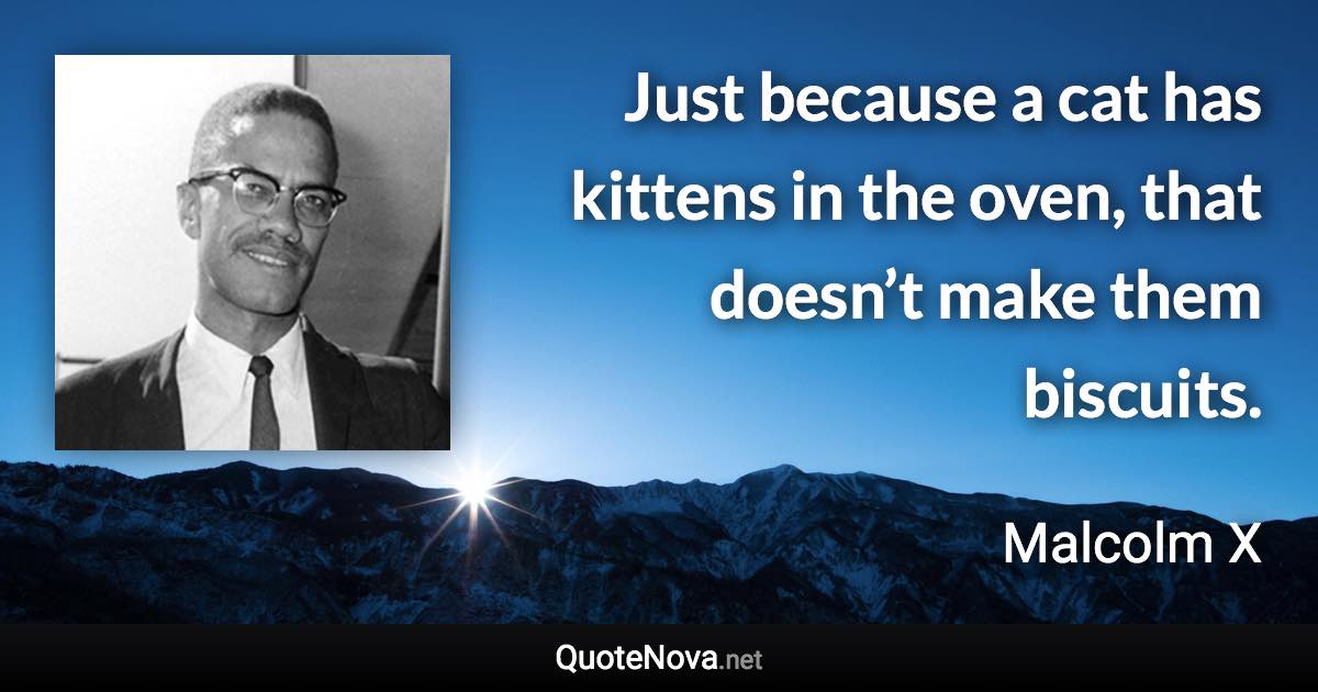 Just because a cat has kittens in the oven, that doesn’t make them biscuits. - Malcolm X quote