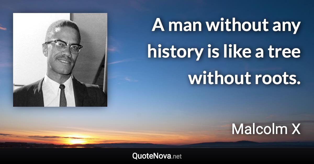 A man without any history is like a tree without roots. - Malcolm X quote