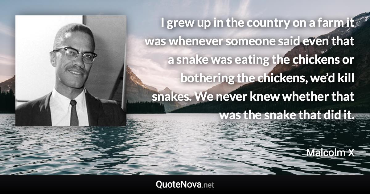 I grew up in the country on a farm it was whenever someone said even that a snake was eating the chickens or bothering the chickens, we’d kill snakes. We never knew whether that was the snake that did it. - Malcolm X quote