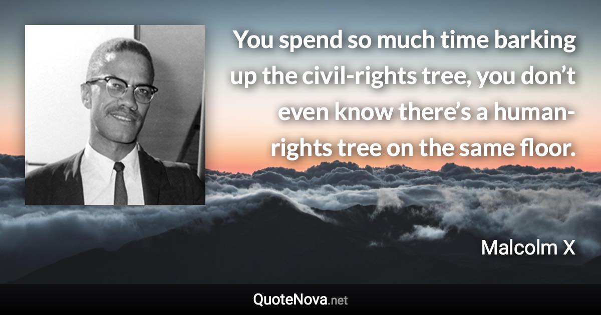 You spend so much time barking up the civil-rights tree, you don’t even know there’s a human-rights tree on the same floor. - Malcolm X quote