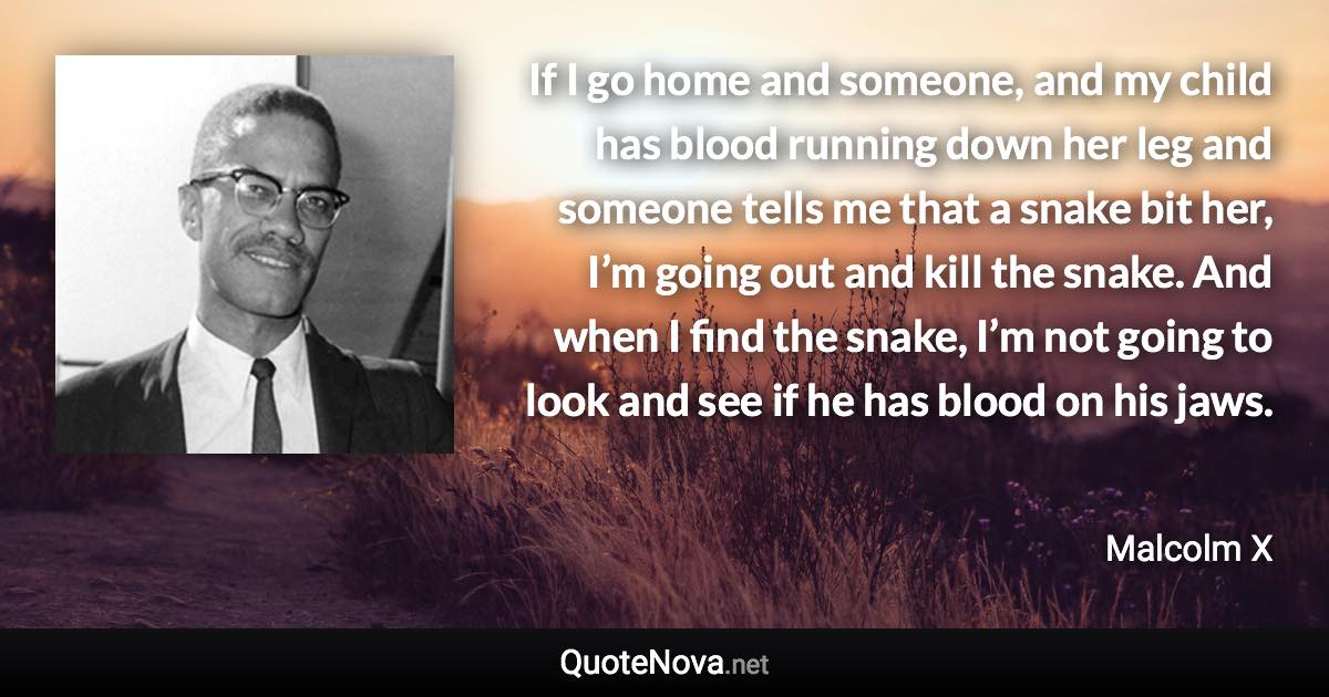 If I go home and someone, and my child has blood running down her leg and someone tells me that a snake bit her, I’m going out and kill the snake. And when I find the snake, I’m not going to look and see if he has blood on his jaws. - Malcolm X quote