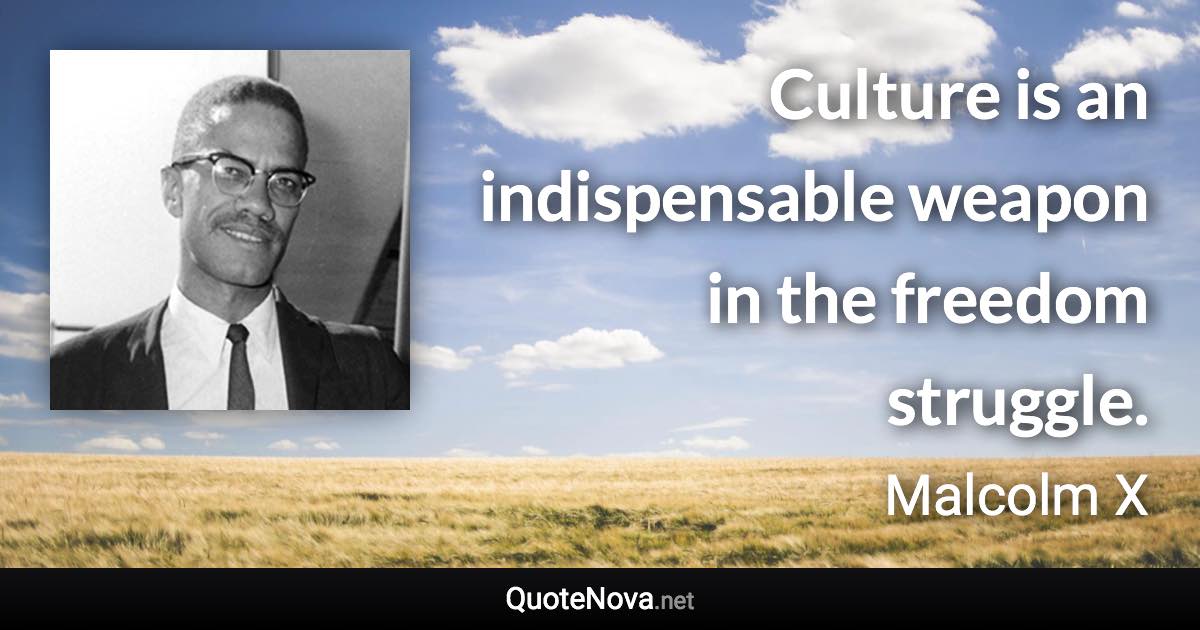 Culture is an indispensable weapon in the freedom struggle. - Malcolm X quote